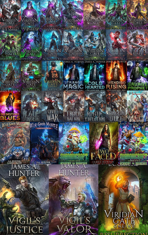 Viridian Gate Online Universe Series & more by James A. Hunter ~36 MP3 AUDIOBOOK COLLECTION
