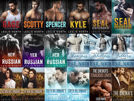 Saving the SEALs Series & more by Leslie North ~ 19 MP3 AUDIOBOOK COLLECTION